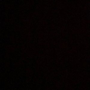 Meet your Posher, Roy